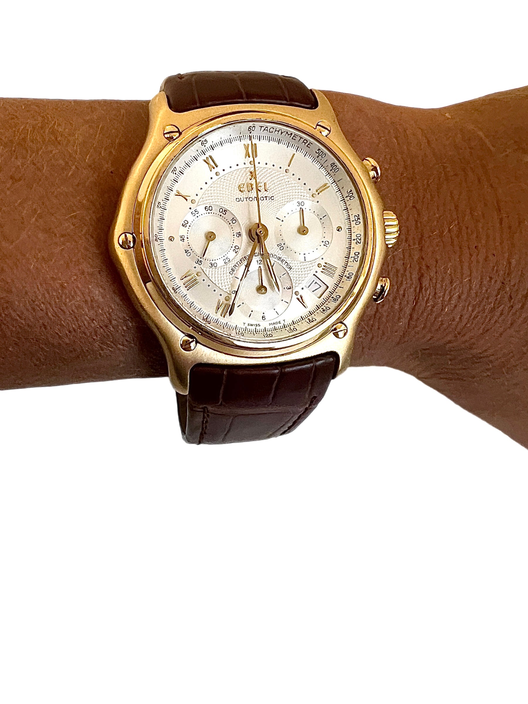 Ebel, montre Modulor Chronograph en or sur alligator
