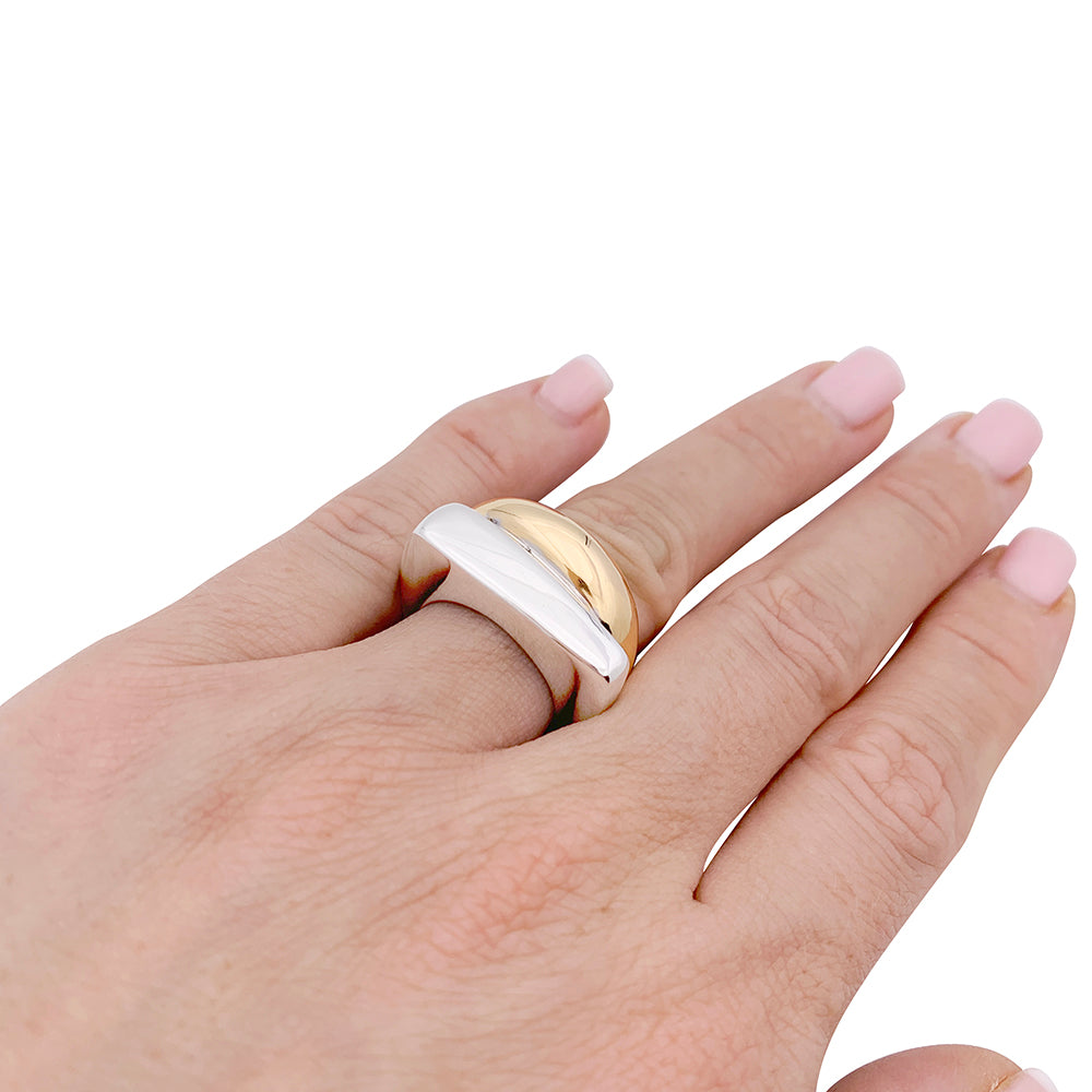Fred "Success" ring, large model, in two tones of gold.