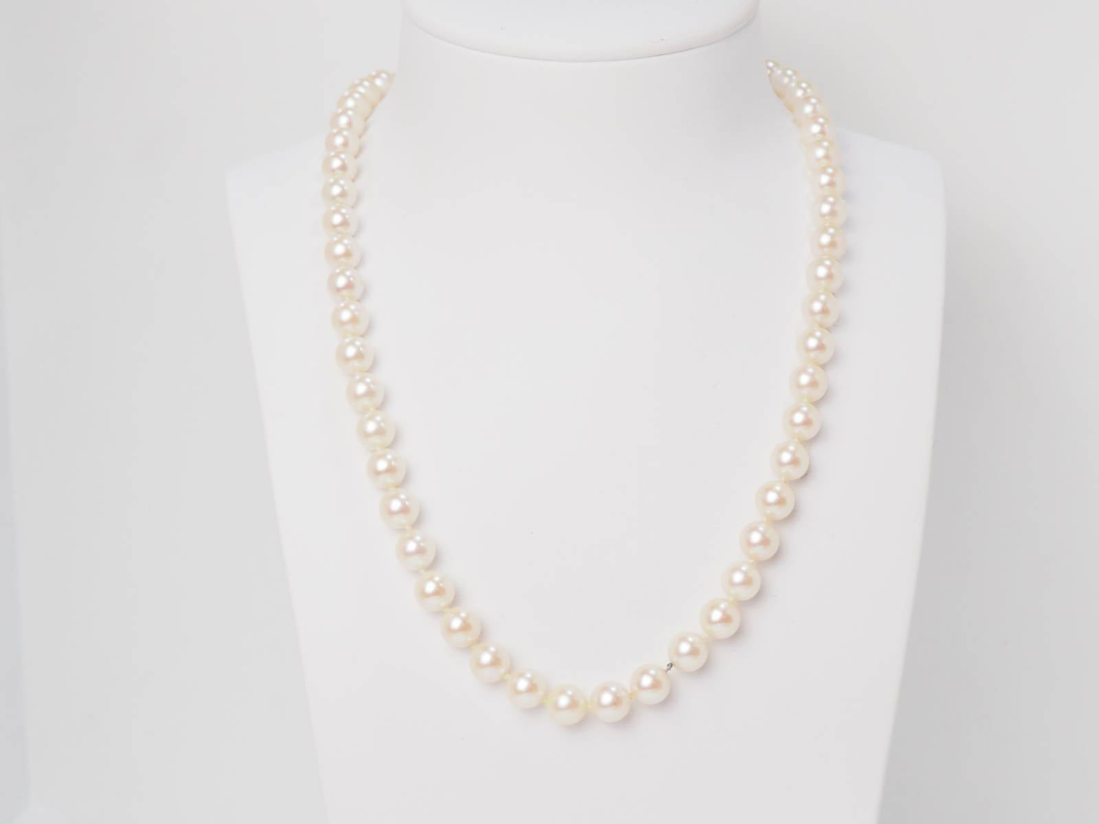 Collier en or jaune et perles d'Akoya