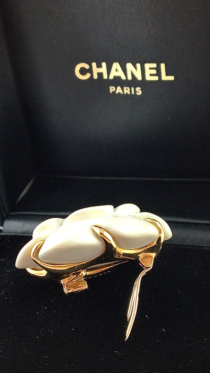 Chanel, Broche Camélia Cacholong Blanc Sur Or Jaune Dans Son Ecrin