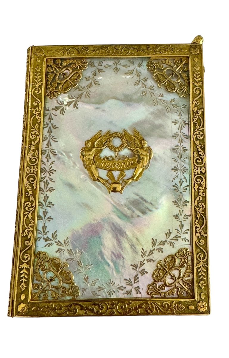 Carnet De Bal d'époque Charles X Nacre et Bronze doré