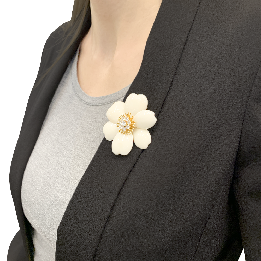 Van Cleef &amp; Arpels "Christmas Rose" brooch in yellow gold, white coral, diamonds.
